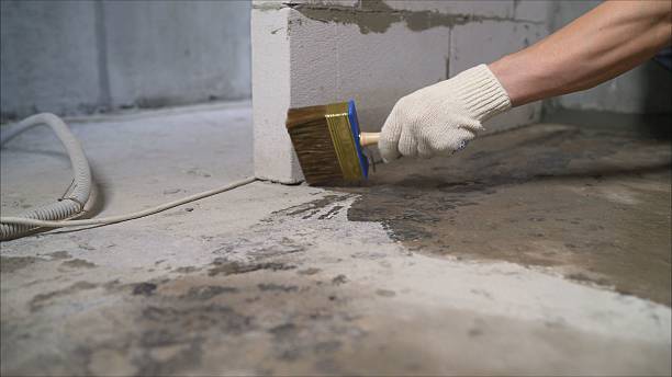 SJ Waterproofing Pros Exterior Waterproofing coverage map for Corunna, IN and surrounding area